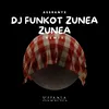 About DJ FUNKOT ZUNEA ZUNEA Song