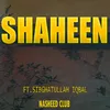 About Shaheen Song