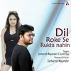 About Dil Rukta Nahin Song