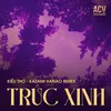 About Trúc Xinh Song
