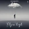 About Flyin High Song