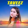 About Taveez Song