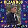 About Çave Dilemin Song