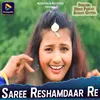 About Saree Reshamdaar Re Song
