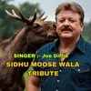 About Sidhu Moose Wala Tribute Song