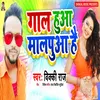 About Gal Hua Malpua Hai Song