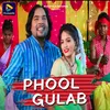 About PHOOL GULAB Song