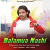 About Balamua Nashi Song