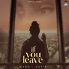 About If You Leave Song