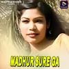 About Madhur Sure Ga Song