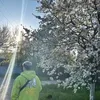 About spring Song