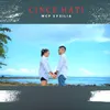 About CINCE HATI Song