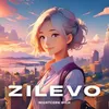 About Zilevo Song