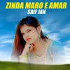 Zinda Maro E Amar