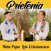 About Prietenia Song