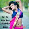 About Hay Hay Hoye Hoye Dir Dir Nach Nagina Song