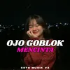 About Ojo Goblok Mencinta Song