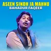 About Aseen Sindh Ja Mahnu Song