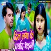 About Dil Laga Ke Barbad Bhaini Song