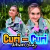 About Curi-Curi Song