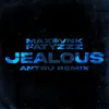 About Jealous Song