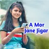 A Mor Jane Jigar