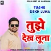 About Tujhe Dekh Luna Song