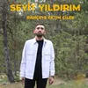 Bahçeye Ektim Çilek