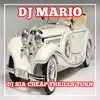 About DJ SIA CHEAP THRILLS TURN - INST Song