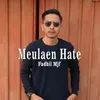 About Meulaen Hate Song