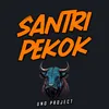 Santri Pekok