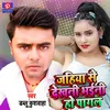 About Jahiya Se Dekhni Bhaini Ho Pagal Song