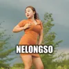 About Nelongso Song