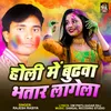 About Holi Me Budhwa Bhatar Lagela Song