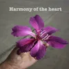 About Harmony of the Heart Song