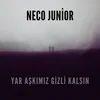 Yar Aşkımız Gizli Kalsın