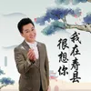 About 我在寿县很想你 Song