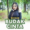 About Budak Cinta Song