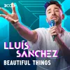About Beautiful things Song