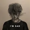 About I'M SAD Song