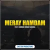 About Meray Hamdam Song