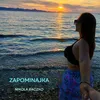 About Zapominajka Song