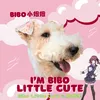 I'm BIBO Little Cute