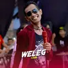 About Weleg Song