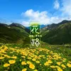 About 花路 Song