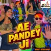 About Ae Pandey Ji Song