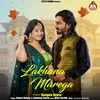 About Lakhana Marega Song
