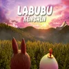 About Labubu Song