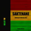 About Saktenane Reggae Song