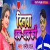 About Dilwa Dhak Dhak Kare Song